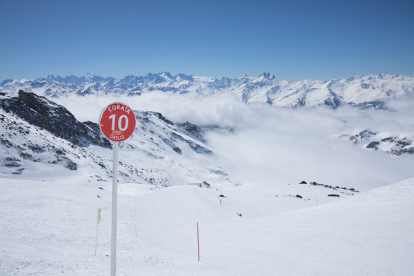 Coraia piste, Rosael
