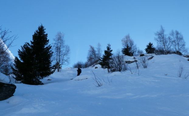 Into the woods below le Geffriand Into the woods below le Geffriand