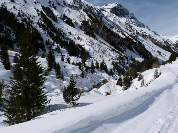 Stream in the valley above Pralognan