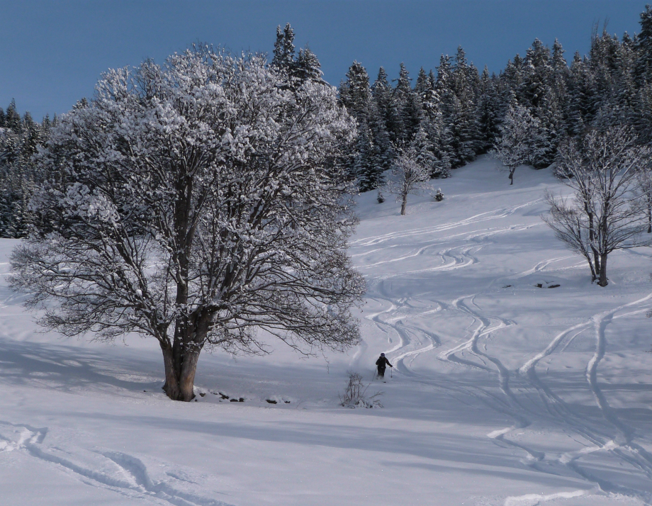 Skiing near St Martin Val Thorens snow report, skiing near St Martin 12th Jan 2013